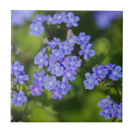 Blaue Blumen Blüten Entdeckungsreise zur Liebe Par Fliese