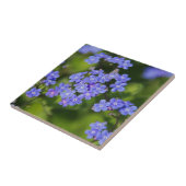 Blaue Blumen Blüten Entdeckungsreise zur Liebe Par Fliese (Seite)