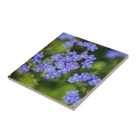 Blaue Blumen Blüten Entdeckungsreise zur Liebe Par Fliese (Seite)