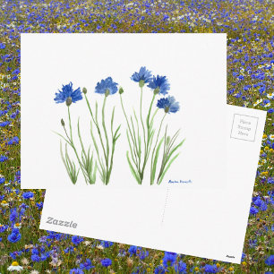 Blaue Blumen Chic Rustikal Wasserfarben Kornblumen Postkarte