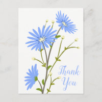 Blaue Blumen Dankeschön Gänseblümchen Blumen Hochz