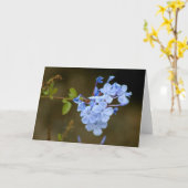 Blaue Blumen Karte (Gelbe Blume)