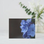 Blaue Blumen Postkarte (Stehend Vorderseite)