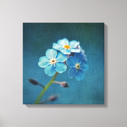 Blaue Blumen Vergessen-me-nots Macro Fotografy Leinwanddruck (Vorderseite)