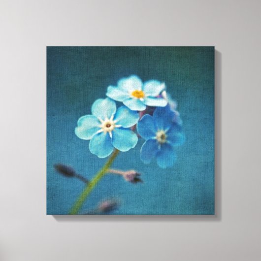 Blaue Blumen Vergessen-me-nots Macro Fotografy Leinwanddruck (Vorderseite)