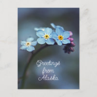 Blaue Blumen Vergessen Sie mir nicht Grüße von Ala