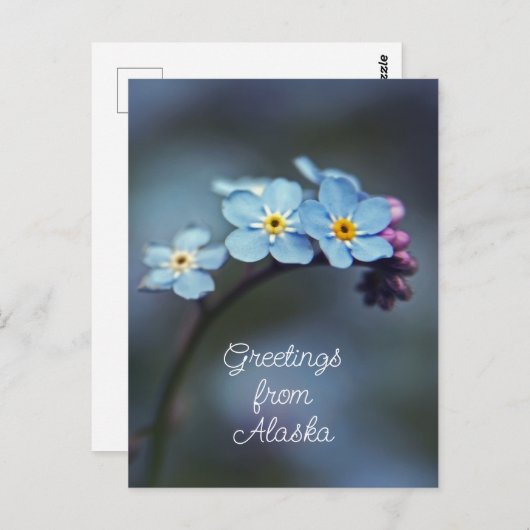 Blaue Blumen Vergessen Sie mir nicht Grüße von Ala Postkarte (Vorne/Hinten)