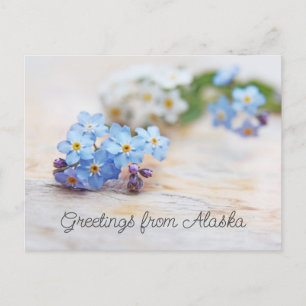 Blaue Blumen Vergissmeinnicht Grüße aus Alaska Postkarte
