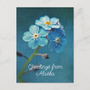 Blaue Blumen Vergissmeinnicht Grüße aus Alaska Postkarte