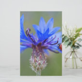 Blaue Blüten Ladybug Liebe Locarno Briefpapier (Stehend Vorderseite)