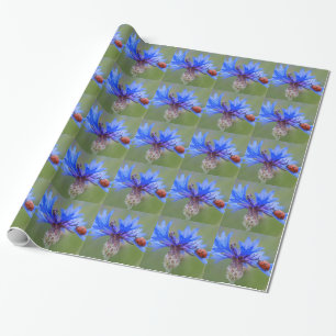 Blaue Blüten Ladybug Liebe Locarno Geschenkpapier