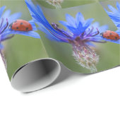 Blaue Blüten Ladybug Liebe Locarno Geschenkpapier (Rolleneckpunkt)