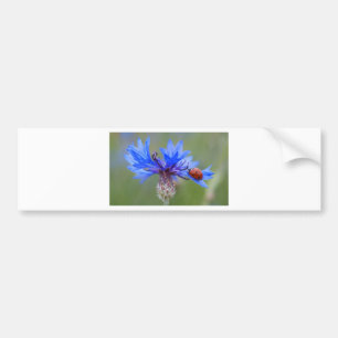 Blaue Blüten Marienkäfer Frieden Liebe Schicksal K Autoaufkleber