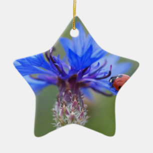 Blaue Blüten Marienkäfer Frieden Liebe Schicksal K Keramik Ornament