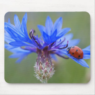 Blaue Blüten Marienkäfer Frieden Liebe Schicksal K Mousepad