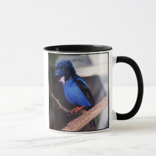 Blaue Boodle-Tasse Tasse