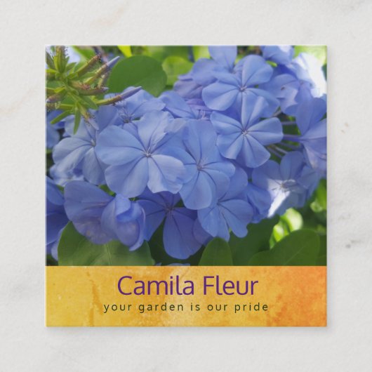 Blaue botanische Visitenkarte (Vorderseite)