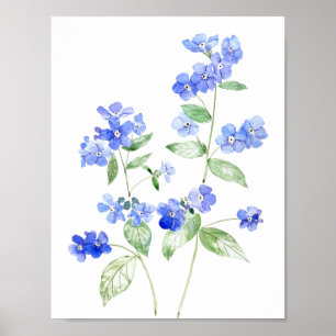 Blaue Brunnera-Blume Wildblume Poster