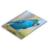 Blaue Budgerigar-Ankerplakette T- Notizblock (Linke Seite)