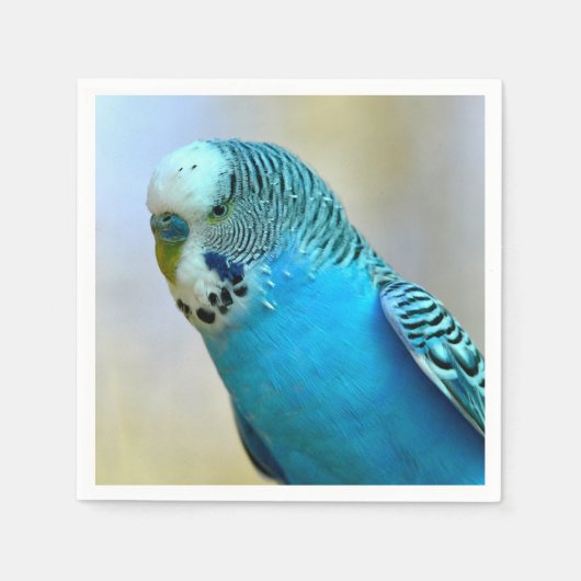Blaue Budgerigar-Ankerplakette T- Serviette (Vorderseite)