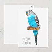 Blaue Budgerigar-Cartoon Postkarte (Vorne/Hinten)