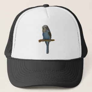 Blaue Budgie Kunst Truckerkappe