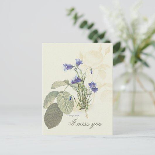 Blaue Campanula 1 Postkarte (Stehend Vorderseite)