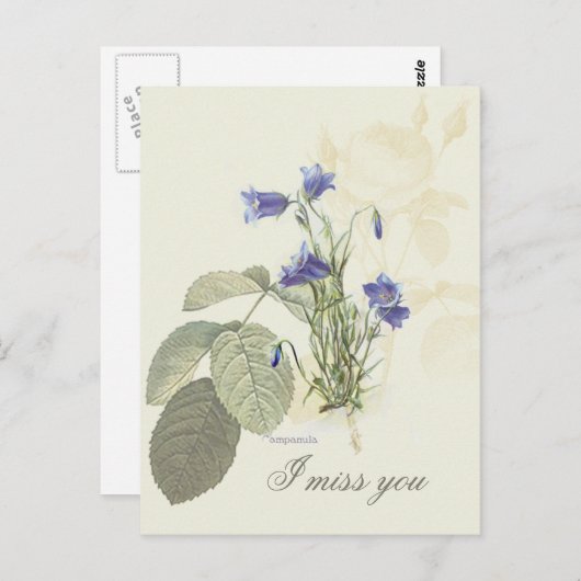 Blaue Campanula 1 Postkarte (Vorne/Hinten)