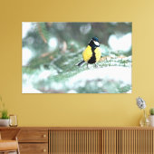 Blaue Chickadee auf grünem Spruce Leinwanddruck (Insitu (Wohnzimmer))