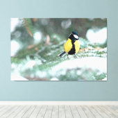 Blaue Chickadee auf grünem Spruce Leinwanddruck (Insitu (Holzboden))