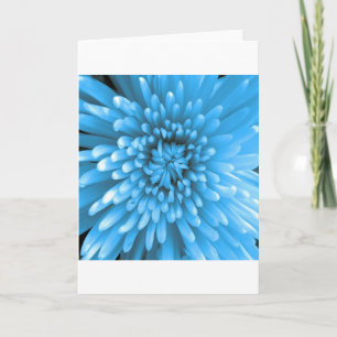 Blaue Chrysantheme Karte