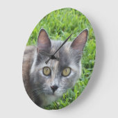 Blaue Creme - Tortie Kitty Wall Uhr (Winkel)