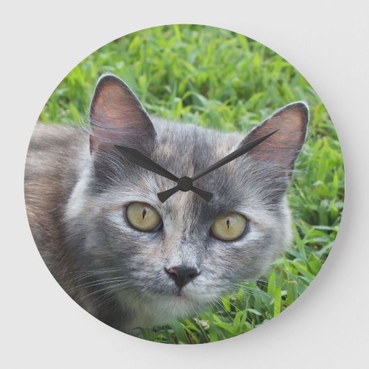 Blaue Creme - Tortie Kitty Wall Uhr (Vorderseite)