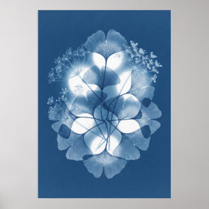 Blaue Cyanotypie Ginkgo Queen Anne Lace Poster