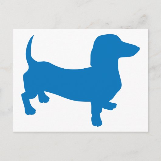 Blaue Dackel, Dackel Postkarte (Vorderseite)
