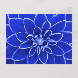 Blaue Dahlia-Blume Postkarte
