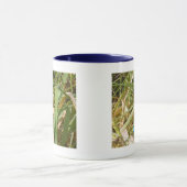 Blaue Damselfly-Tasse Tasse (Zentrum)