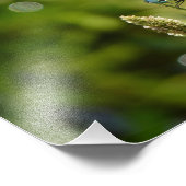 Blaue Dasinglippe Fotodruck (Ecke)