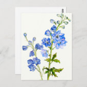 Blaue Delphine in Aquarellkartons Postkarte (Vorne/Hinten)