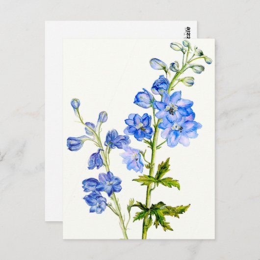 Blaue Delphine in Aquarellkartons Postkarte (Vorne/Hinten)