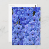Blaue Delphinium-Blume Postkarte (Vorne/Hinten)