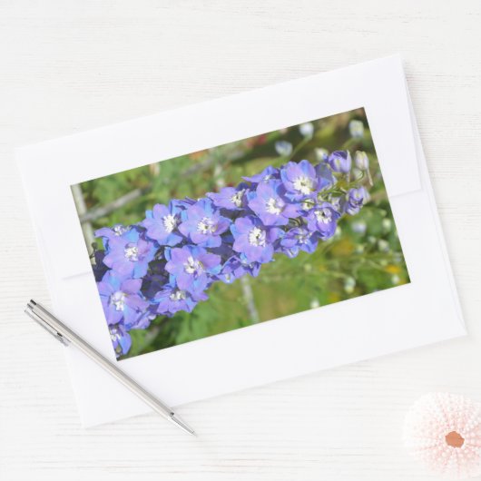 Blaue Delphinium-Blume Rechteckiger Aufkleber (Umschlag)