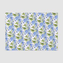 Blaue Delphinium-Blume