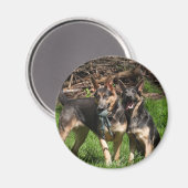 Blaue deutsche Schäferhunde Magnet (Vorderseite/Rückseite)
