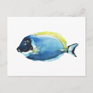 Blaue Doktorfisch Postkarte