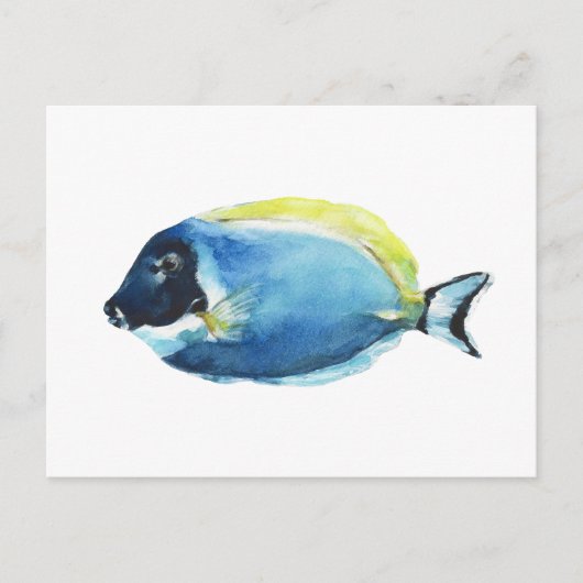 Blaue Doktorfisch Postkarte (Vorderseite)