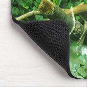 Blaue Doppelpapageien Mousepad (Ecke)