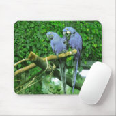 Blaue Doppelpapageien Mousepad (Mit Mouse)