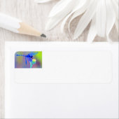 Blaue Dragonfly-Rücksendeadresse (Insitu)