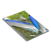 Blaue Duckfedern, Tier, Vogel Notizblock (Rechte Seite)